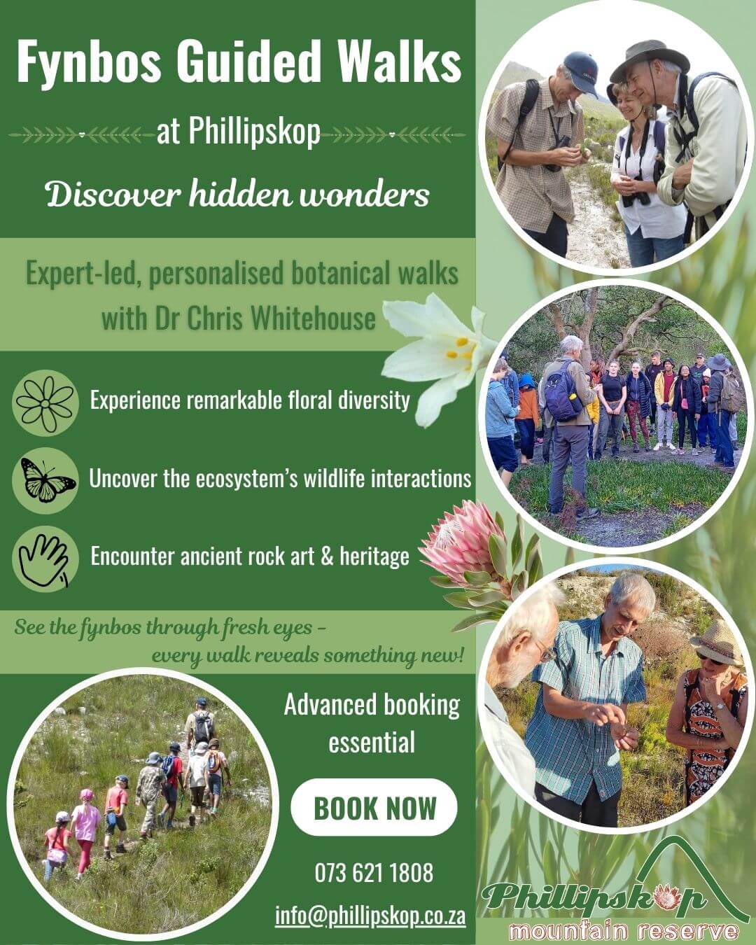 Phillipskop-Flyer