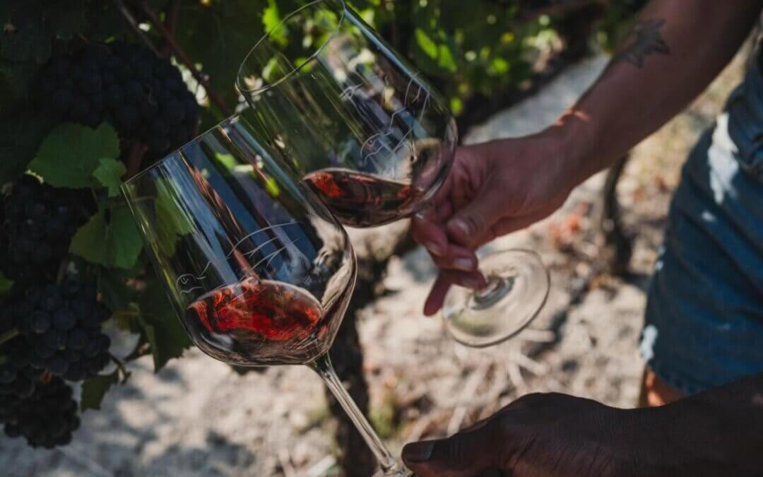 Landskein Wines
