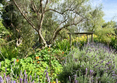 Open Gardens